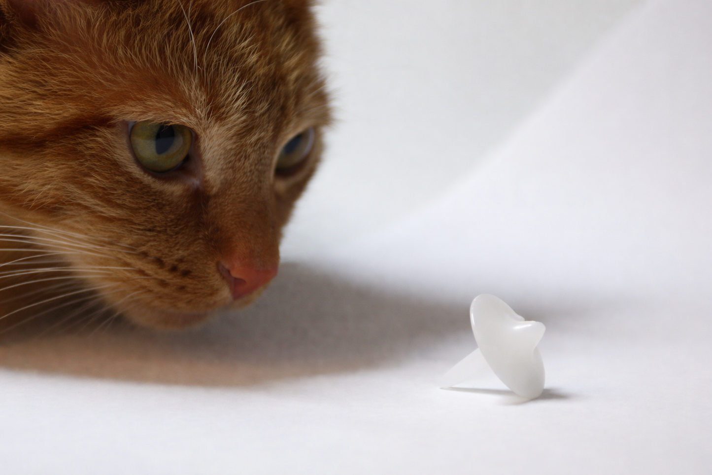 Spinning Top